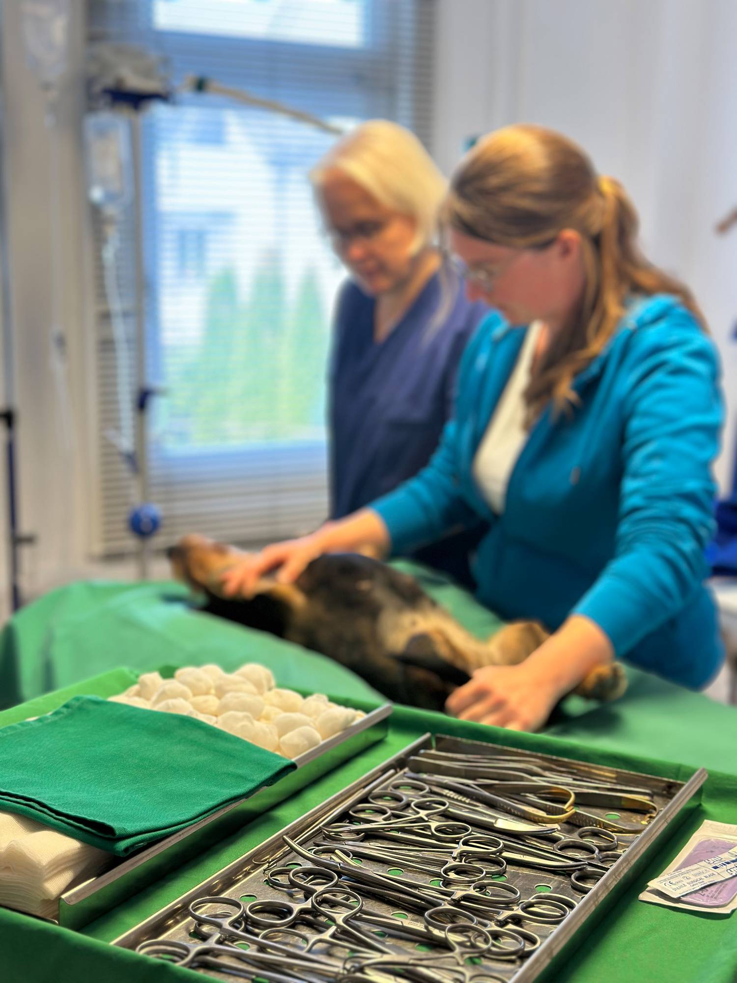 Team bei der OP-Vorbereitung